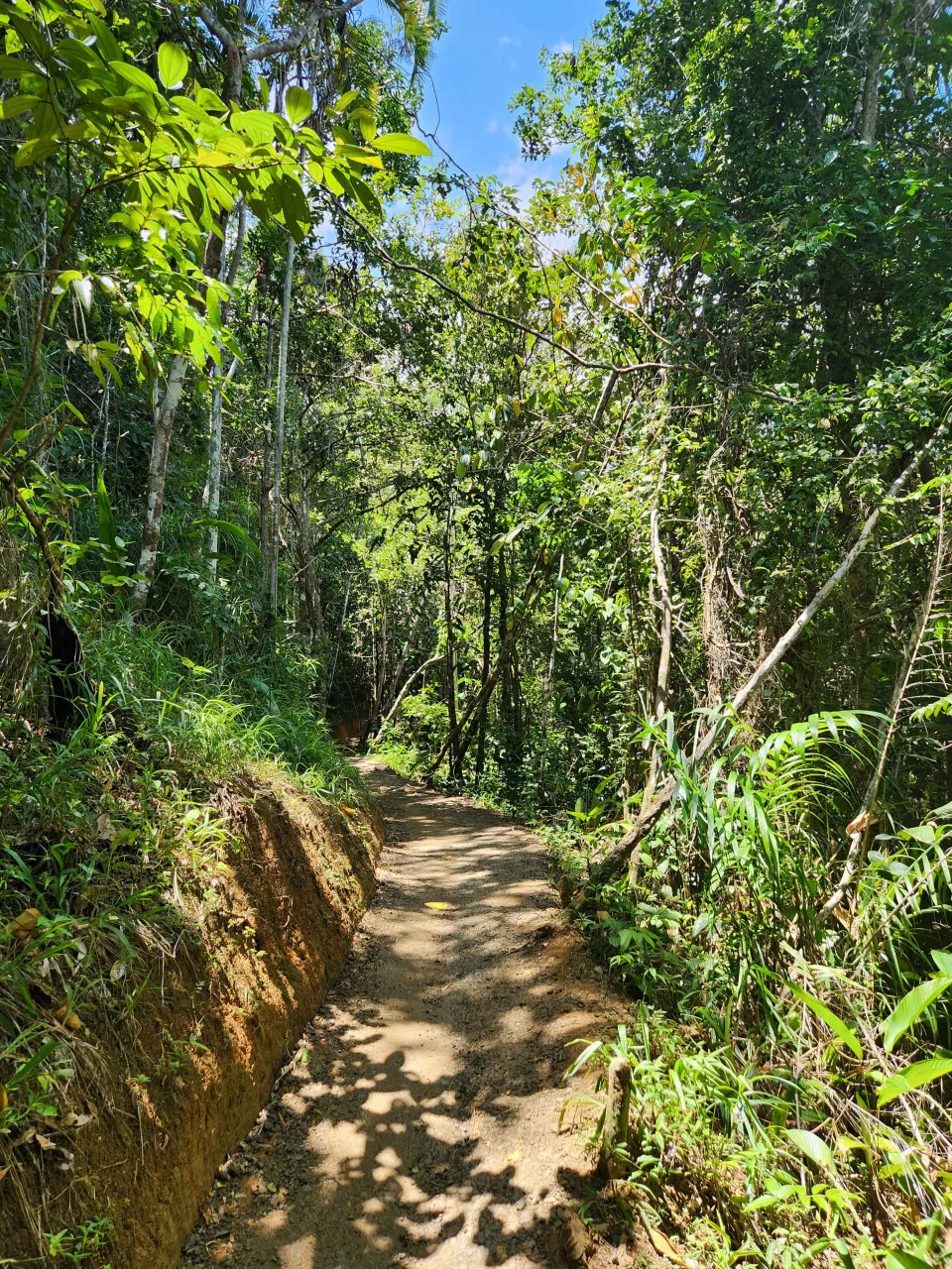 Trilha das 4 Praias, Itacaré