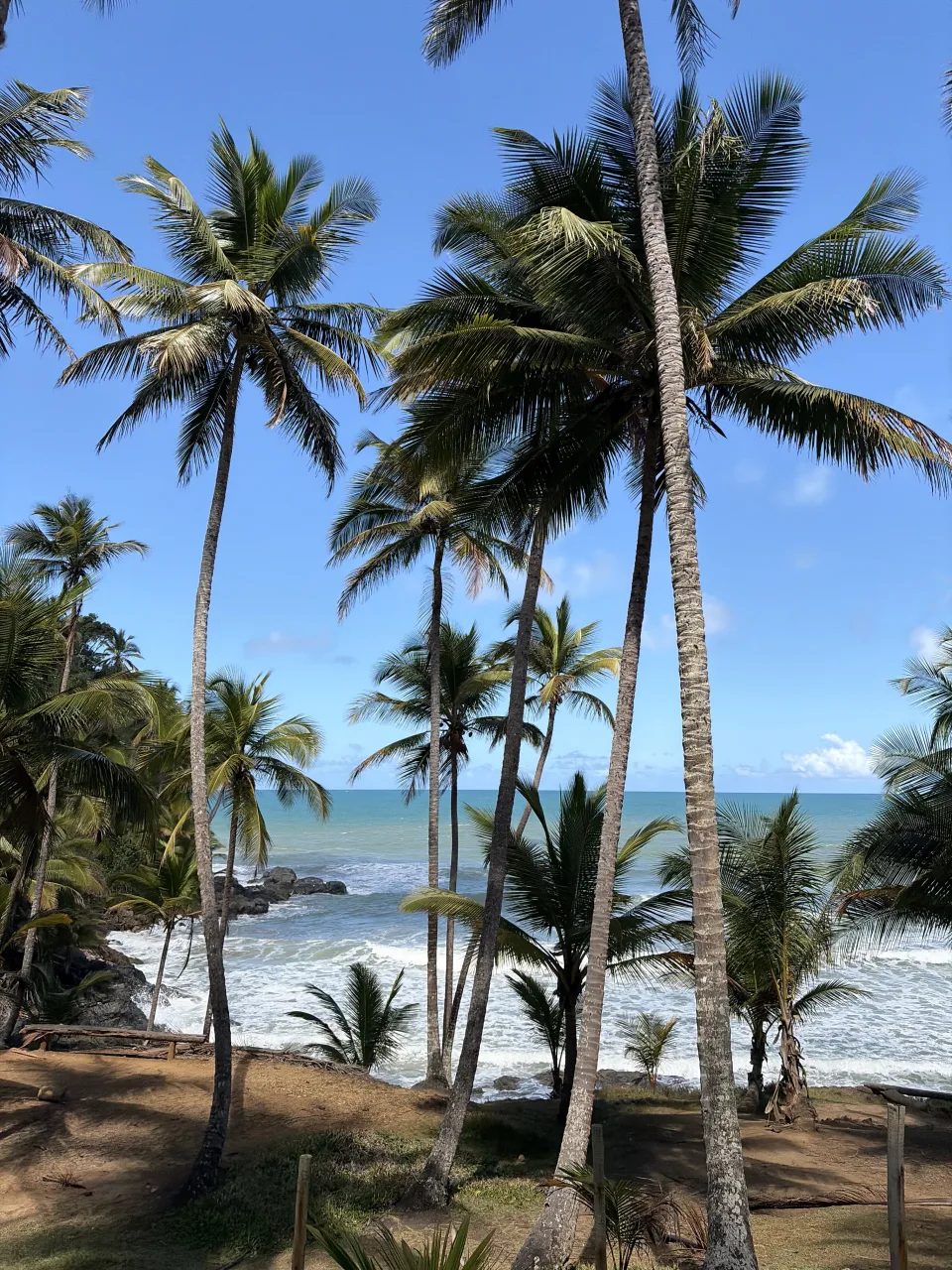 Sol Ecoturismo | Passeios em Itacaré, Itacaré