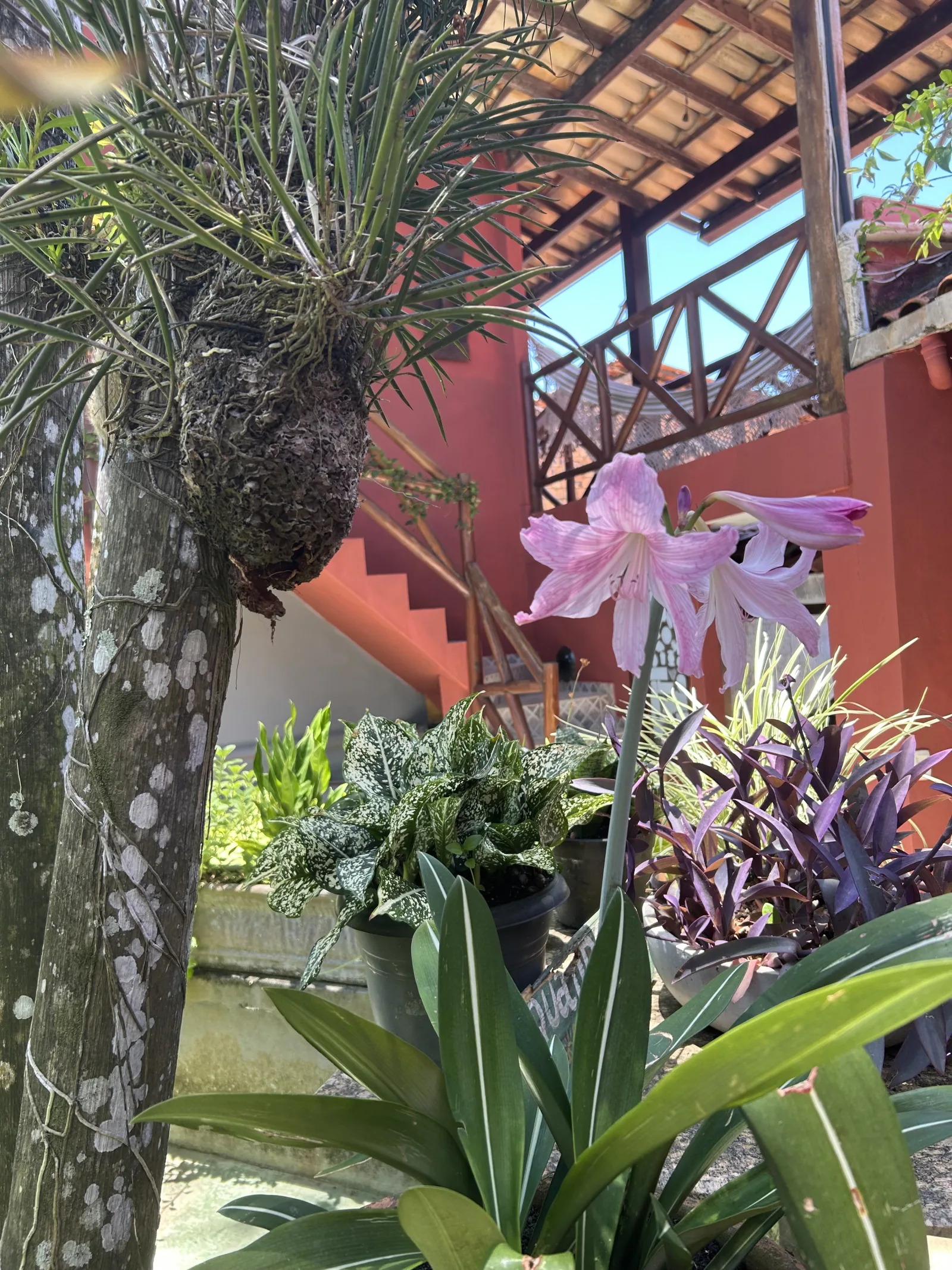 Pousada Estrela Itacaré, Itacaré