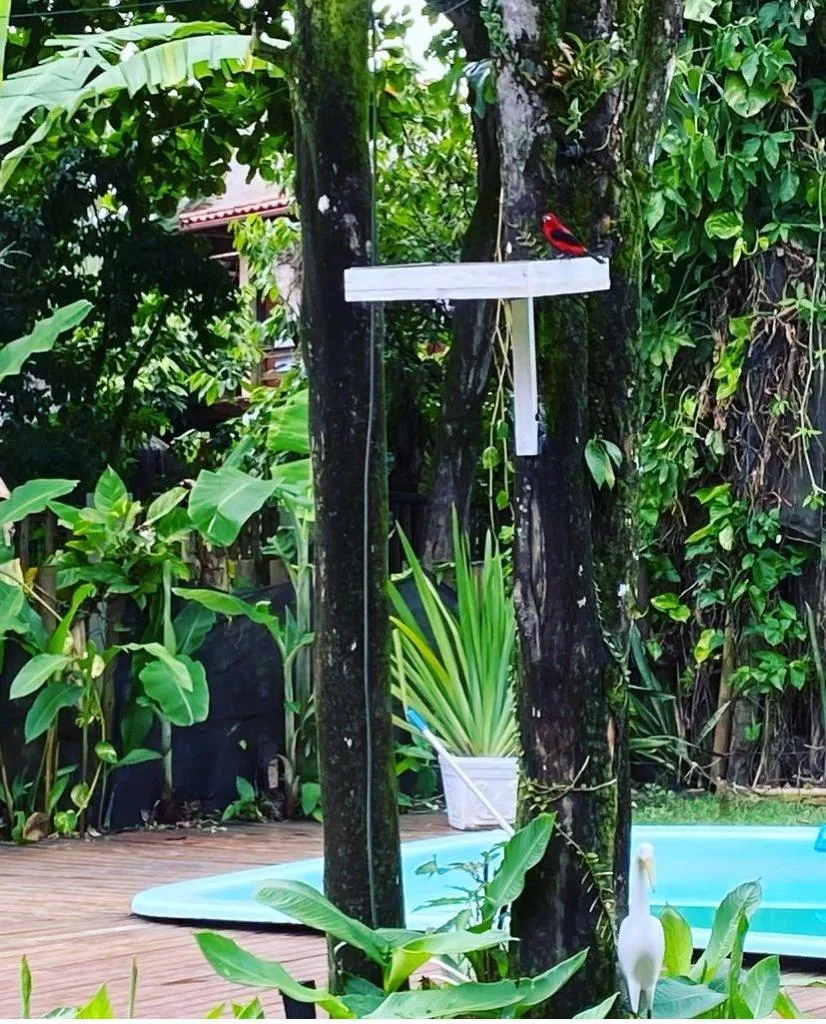 Pousada Casa Zazá, Itacaré