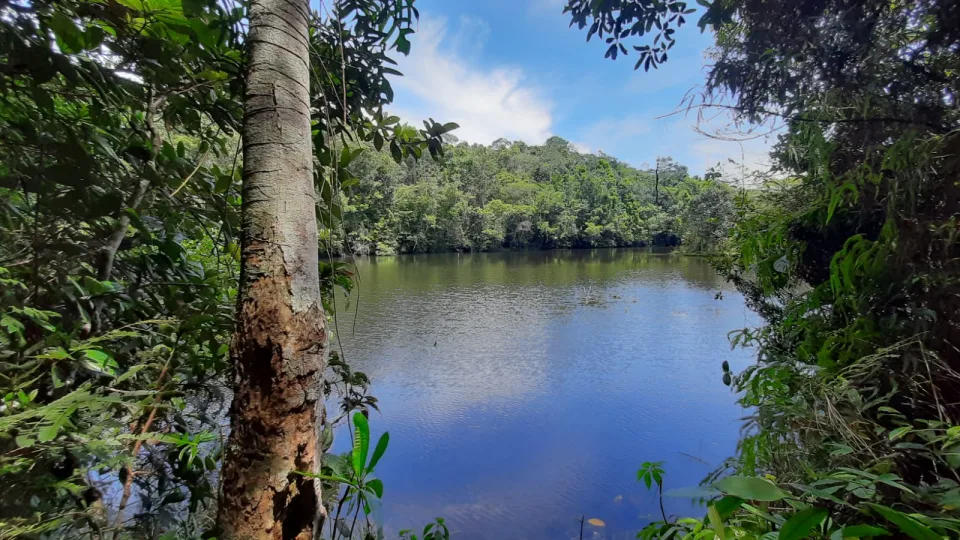 Cachoeira da Usina - Itacaré, Itacaré