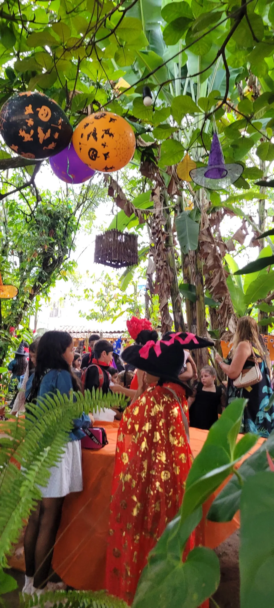 Casa Fluir Espaço Cultural e Bar, Itacaré