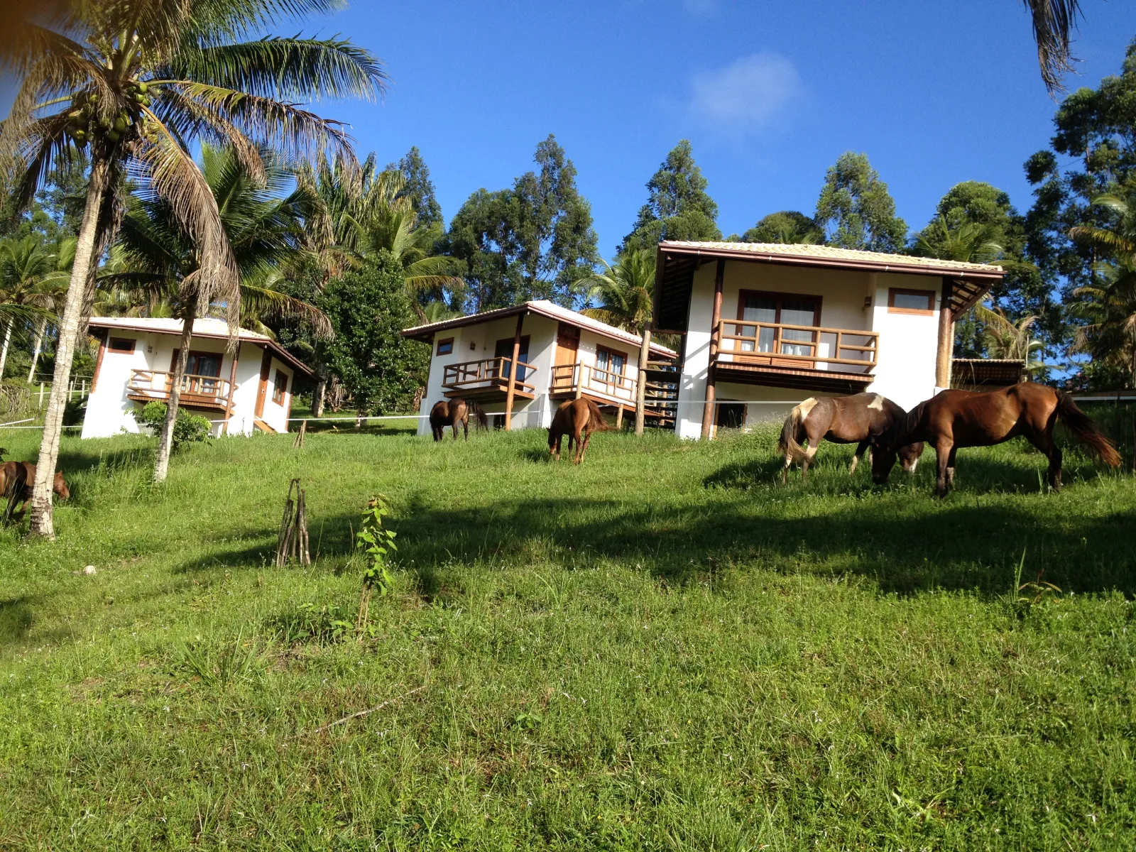 Itacaré EcoRanch, Itacaré