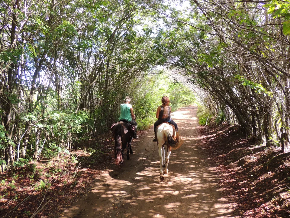 Itacaré EcoRanch, Itacaré
