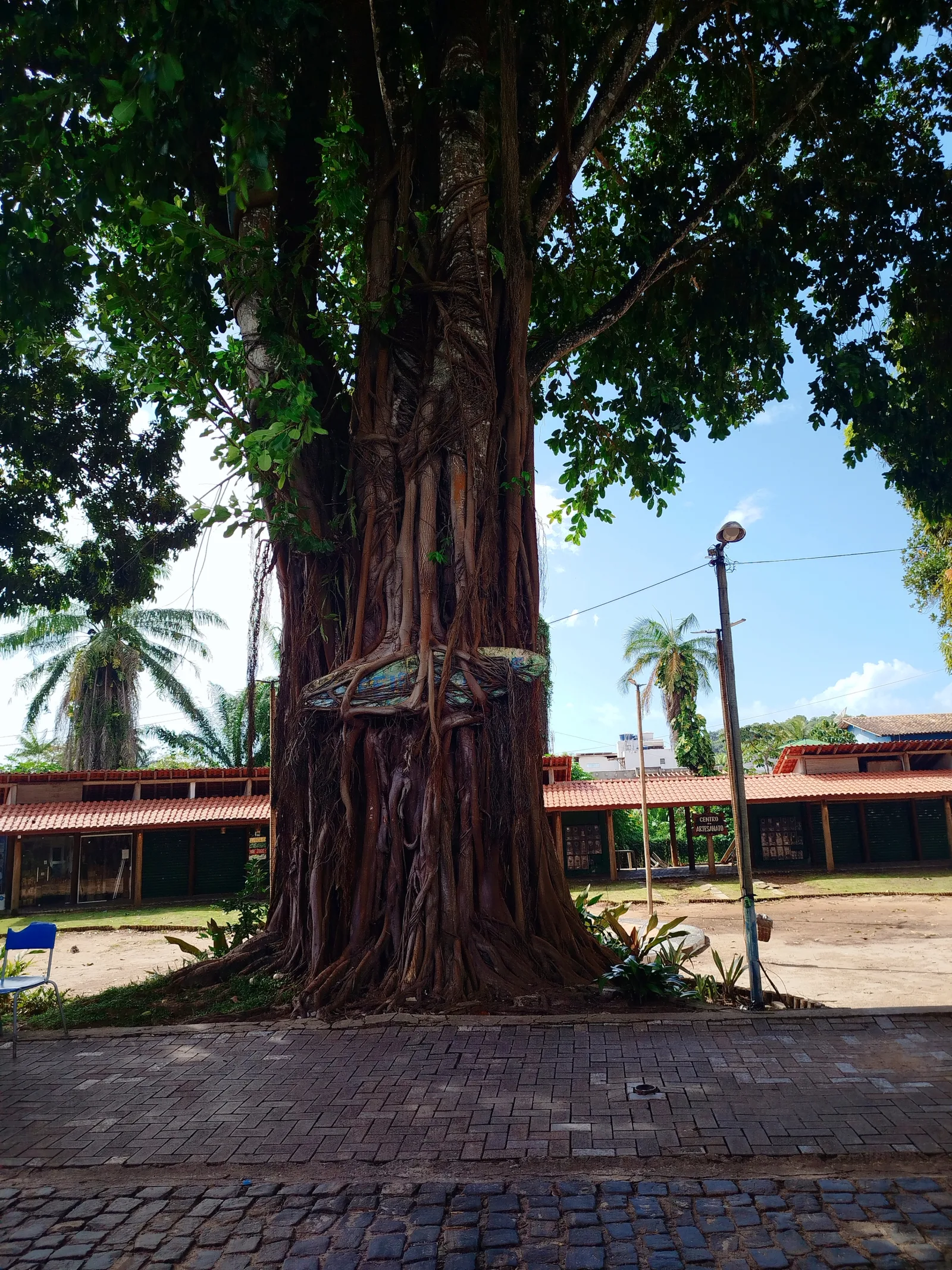 PRAÇA DA MANGUEIRA, Itacaré