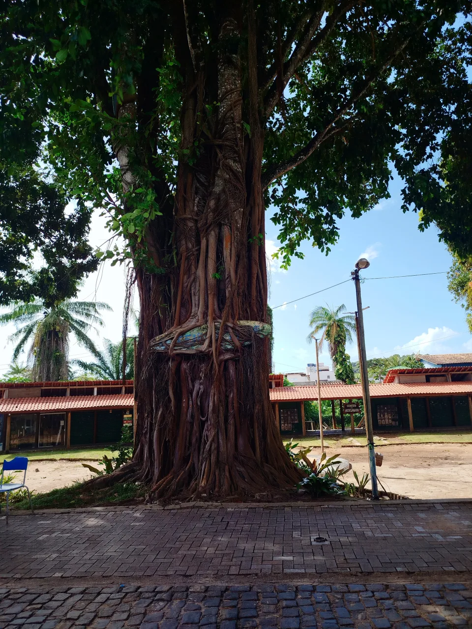 PRAÇA DA MANGUEIRA, Itacaré