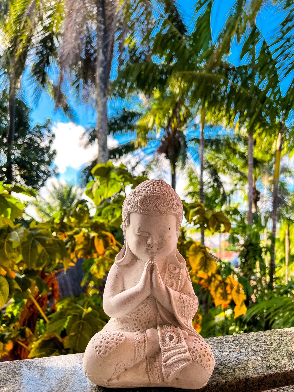 Hostel Zen • Casa na Floresta, Itacaré