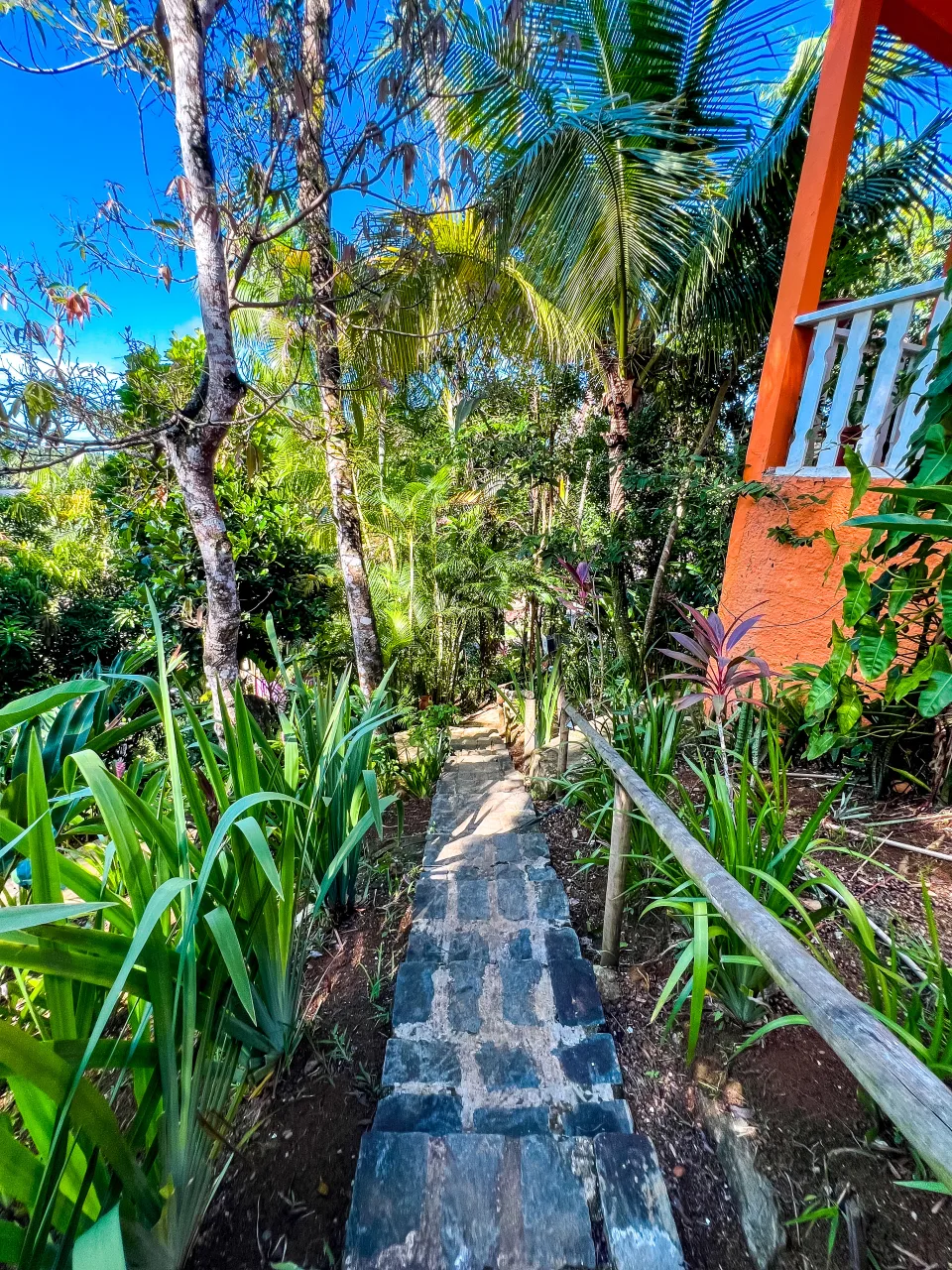 Hostel Zen • Casa na Floresta, Itacaré