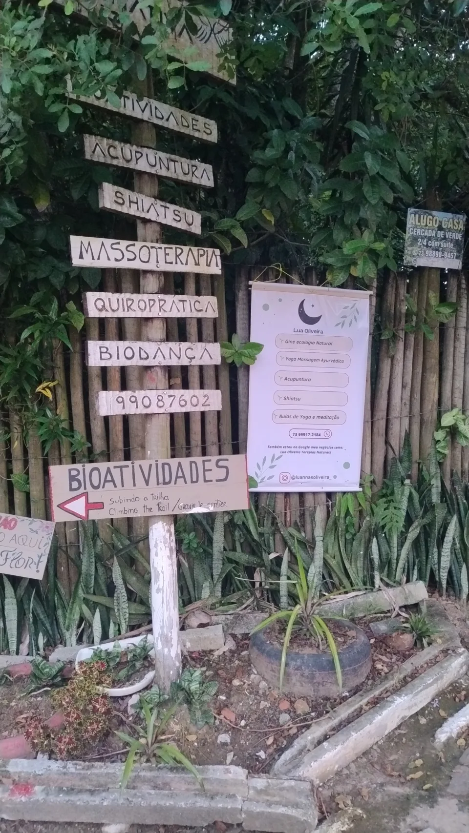 Lua Oliveira - Terapias Naturais, Itacaré