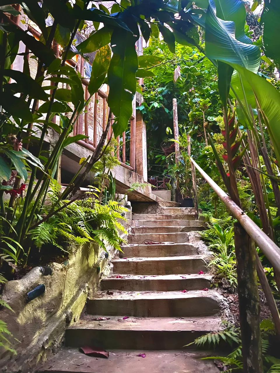 Lua Oliveira - Terapias Naturais, Itacaré