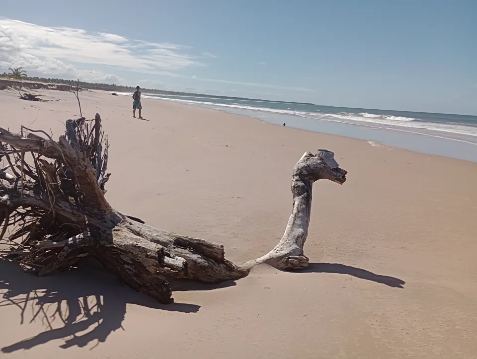 Praia do Piracanga, Itacaré