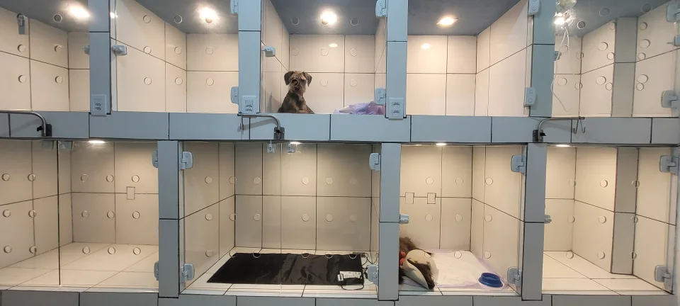 Clínica Veterinária Itacaré, Itacaré